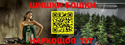 соль ск Можга