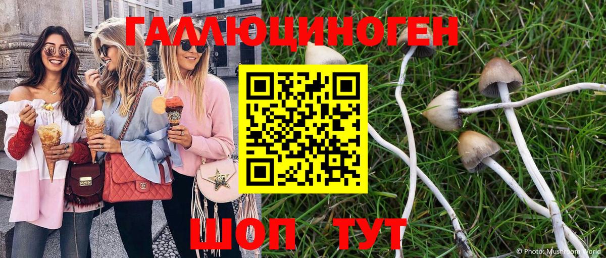 Галлюциногенные грибы прущие грибы  Вход с VPN  Псилоцибиновые грибы Psilocybe  Владивосток 